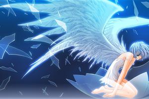 天使羽翼美少女动漫壁纸
