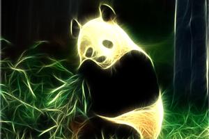 虚拟幻想中的熊猫壁纸