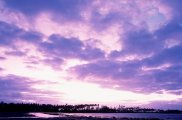 唯美的紫色天空风景壁纸