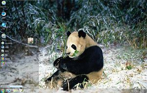正在进食的熊猫win7动物主题